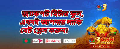 মেগা ফ্রি স্পিন অফার screenshot